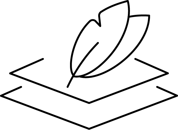 Pene de gâscă/rață